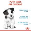 Royal Canin Mini Puppy Dry Dog Food 2kg & 4kg. 