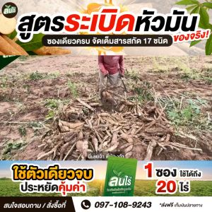 🌱🌱ล้นไร่ สูตรขยายหัวมัน (1 ซอง)  หัวดกใหญ่ %แป้งสูง ใบเขียว ต้นโตสะสมอาหารดี ลดเชื้อรา แมลงไม่กวน ถูกใจชาวไร่มัน