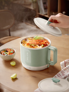 「China Plug」Bear | Portable Multi-Function Electric Cooker