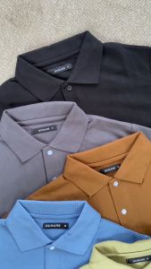 Baju Kerah Pria Polo Shirt: Tips Memilih & Memakai Formal & Casual