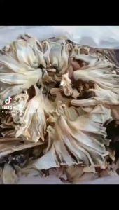 KHÔ CÁ ĐUỐI LẠT TRẮNG XẺ VẠT LOẠI THƯƠNG HẠNG  ĐẶC BIỆT LÀM QUÀ TẾT-- ĐẠI NGƯ