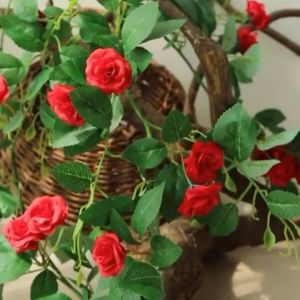 Tanaman Hias Bunga Mawar Rambat Plastik Artificial Juntai Ornamen Dekorasi Dinding Rumah COD PBP98