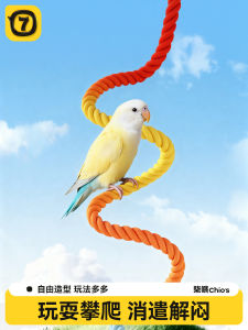 Parrot Climbing Rope Cotton Rope Swing Bird Toy Decorative Rotating Grinding Claw Small And Medium-sized Parrot Hanging Toy