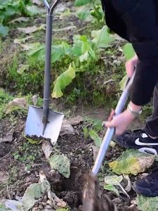 เสียมขุดดิน เหล็กแมงกานีส พลั่ว พลั่วตักทราย พลั่ว พลั่ว พลั่ว พลั่ว พลั่ว พลั่ว