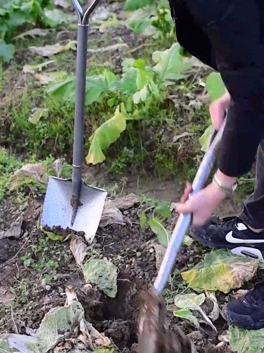 พลั่วขุดดินเหล็กแมงกานีส ชุบแข็ง คุณภาพสูง