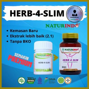 Obat Diet Berat Badan Kegemukan Obesitas Lemak Pria Wanita Ampuh Kapsul Herbal Herb 4 slim Naturindo