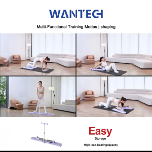 【SG Stock】 Ski Machine Sports Fitness Equipment Pilates Board Stepper Core Exercise Slimming Legs