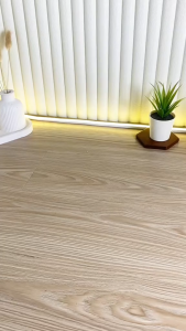 ECENTIO Food Container 800ml - Wadah Penyimpanan 4 Sekat BPA Free