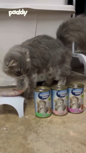 Pate Cho Mèo Con Snappy Tom Kitten