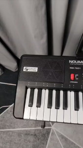 61 Keys Electronic Keyboard Piano with Stand and Small Microphone for Beginner #7601