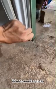 ขอบยางตู้เย็นTOSHIBA รุ่น GR-B189 GR-C189 GR-D189