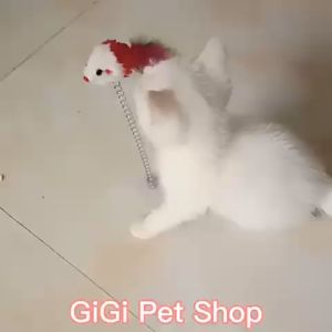 Đồ chơi lò xo có giác hút cho thú cưng chó mèo bằng thép và lông vũ giải trí vờn bắt dễ thương - GiGi Pet Shop
