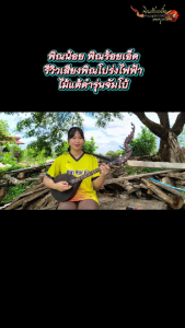 พิณโปร่งไฟฟ้าไม้แต้ดำทั้งตัว ป่องเสียงลายกนก 3 สาย 15 เฟรต วงจรไฟฟ้าแบบEQ