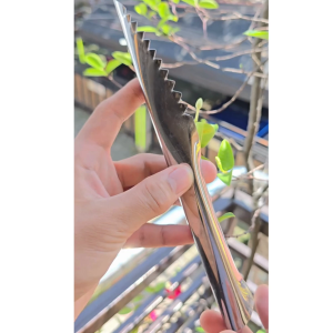 Heavy Duty Stainless Steel Fish Scale Remover with Ergonomic Handle for Kitchen Home Restaurant