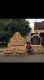 MANGGALA JATI FURNITURE
