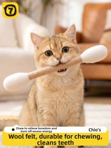 7o | Environmental Enrichment Catnip Entertainment Toy
