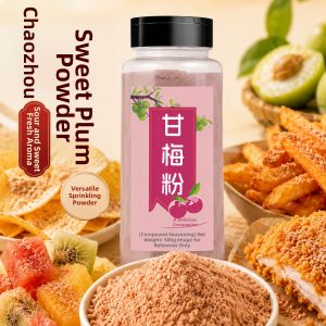 WENXIANGZAN | Additive-Free Plum Powder Condiment