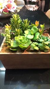 ต้นไม้ปลอมมินิมอล กระถางต้นไม้ประดิษฐ์ สวนแคคตัสประดิษฐ์