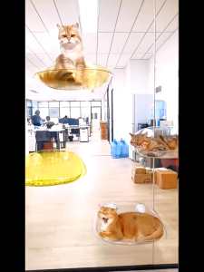【COD】Transparent Cat Window Perch Easy to Install & Clean Cat Hammock with 4 Enlarged Suction Cups for Large Cats Panoramic Space Capsule Window Seat with Cozy Furry Mat Cat Window Hammock Mounted Hanging Bed Transparent Cat Nest