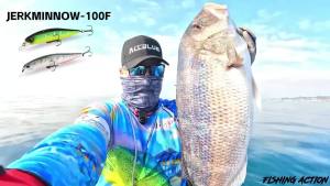 Meredith | MEREDITH Slow Floating Minnow Fishing Lures 10cm 14G Wobbler Jerkbait for Bass/Pike Artificial Hard Bait Fishing Tackle