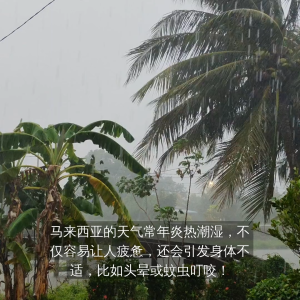 Hong Kong PO SUM ON 保心安膏 3.5G Medicated Healing BALM 3.5G 香港直邮 保心安膏 3.5G 緩解 肌肉 疼痛頭暈 頭疼 驅風 鎮痛 通竅 消腫活血止癢