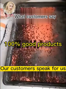 🏠For Farm & Household Use Fly Killer Fly Killer Powder Harmless to human body Flies Killer Fly bait fly bait granular Fly Attractant Medicine Fly Killing Bait Powder Fly Control Attractant Fly Control Flying Insect Killer Pampatay ng langaw