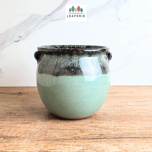 The Leaferie Sanrevelle big plant pots. Ceramic flowerpot . flowerpots . flower pot . planter . planters . Flowers