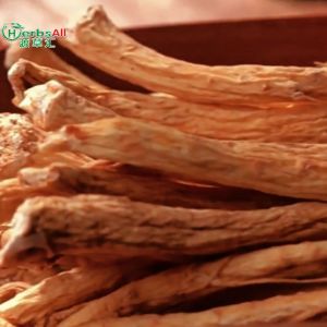 Ginseng Root 洋参须 洋参须茶 洋参须汤 洋參鬚菊花涼茶 人参须 泡参须 清补汤 akar ginseng 无硫 滋阴补气 润肺
