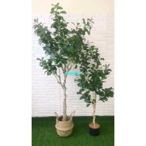 Tanaman Artificial Pohon Hias Kacang T130 & T170 Latex Cover Pot Anyaman Purun Belly Dekorasi Cafe