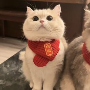 Cat Christmas Scarf Dog Bow Tie Cat Bib Knitting Saliva Towel Pet New Year Dress up Ornament Cute