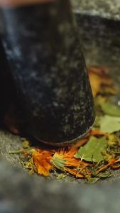 Sách - Đông Y Số Điển (Giải Nghĩa Các Số Danh Trong Đông Y Dược Học) bìa mềm