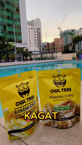 Owl Tree Banana Chips 60g – Original / Sour & Cream | Crispy Healthy Snack | Premium Quality
