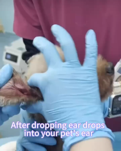 Meowviste 50ml Ear Cleaner for Cats & Dogs - Anti-Fungal Ear Mite & Wax Removal