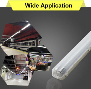 Rohstar T8 LED Outdoor Fixture: A Comprehensive Guide