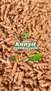 kunyit segar organik kemasan 250gr dan 1kg