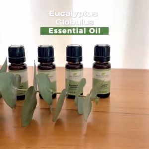 PLANT THERAPY Eucalyptus Globulus Essential Oil [100% Authentic]