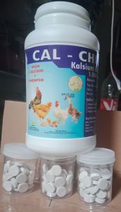 kalk mempercepat pertumbuhan badan dan pembesar tulang ayam aduan  memperkuat tulang mempercepat pertumbuhan menjadikan tulang ayam bangkok kuat dan besar  kemasan isi 50 pcs ya k