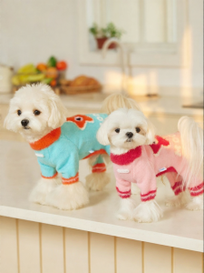 Mooki pet | Spring Warmth Sweater for Small Dogs