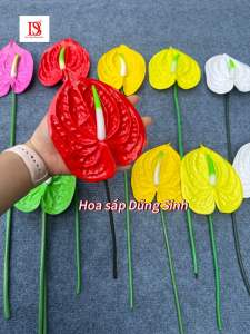 cành hồng môn trang trí lãng hoa