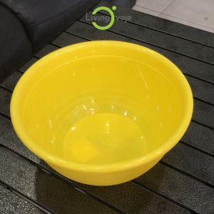 Combo 2 Thau Nhựa - Rổ nhựa Đa Năng LivingOn - 2 kích thước Cao và Thấp