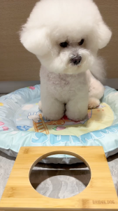 DIDIMON PET DOG PUPPY TRAINING REWARD 0 ADDED HEAT CLEARING SNACKS DUCK PEAR FLAVOR(100G) 迪迪妈宠物狗狗幼犬成犬磨牙训练奖励0添加清热零食鸭肉雪梨口味