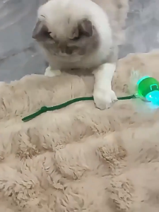 Cat Ball For Indoor Pets Interactive Cat Toy The 3rd Generation Smart Cat Toy With Elastic Mesh Tail Dog & Cat Toys Dog & Cat Accessories Interactive Cat Ball Toy Automatic Rolling Ball Suitable for Indoor Cats Rechargeable Electric Smart