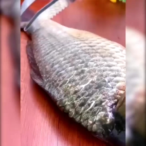 Pisau Ikan Stainless Steel Pembersih Sisik Ikan Scale Fish Scraper/ Alat Pemotong Ikan Pembersih Sisik Praktis