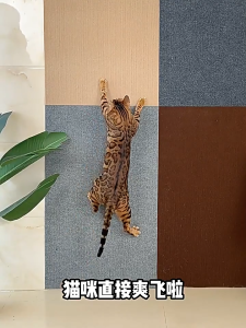 Cat Scratching Mat Self-Adhesive Trimmable Cat Scratching Post Carpet Cat Floor Scratching Pad Rug Cat Tree Replacement Parts Mat Cat Scratcher for Step Couch Furniture Protector Cat Wall Climbing Carpet