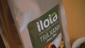 Trà xanh hương nhài ILOTA nguyên chất để pha trà hoa quả trà chanh trà ủ lạnh 500g