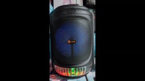 V2S PB828TWS 8.8 Portable Karaoke Wireless Bluetooth Speaker With Wired Microphone