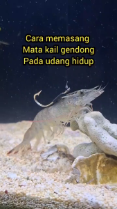 Mata Kail Pancing untuk Umpan Udang Vaname Untuk Memancing di Sungai Danau Laut Kanama Smart Bait