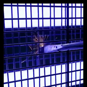 Insect Killer Perangkap Nyamuk Lalat Lampu UV 4 Watt Pembasmi Serangga Elektrik