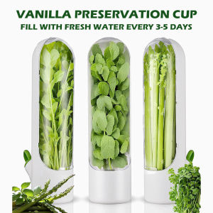 Refrigerator Fruit Vegetable Crisper Vanilla Fresh Herb Keeper Herb Storage Container Multifunction Storage Utensil Kitchen