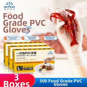 Intco | Food Grade PVC Transparent Disposable Gloves